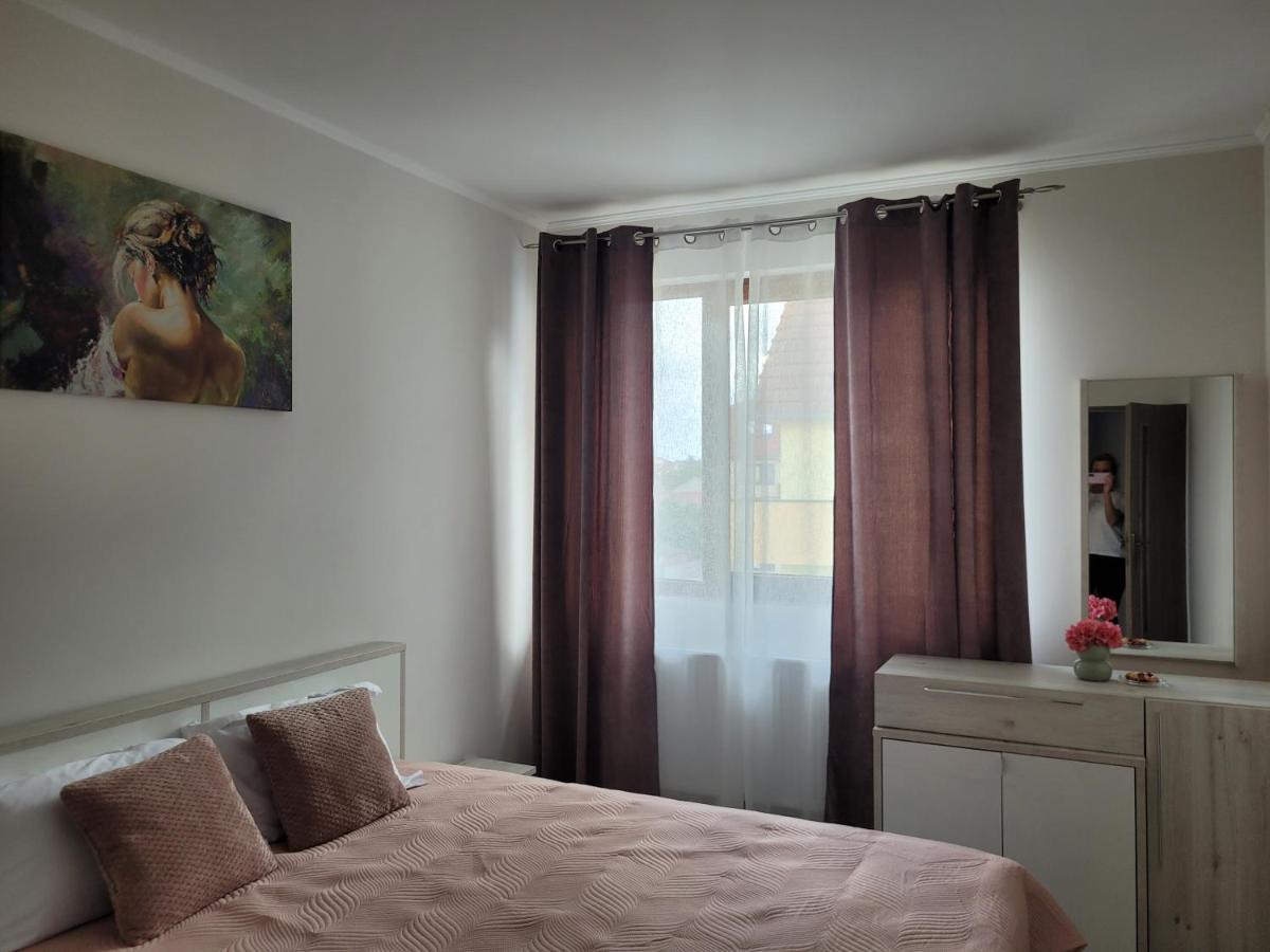 Ferienwohnung Amparo Satu Mare Exterior foto