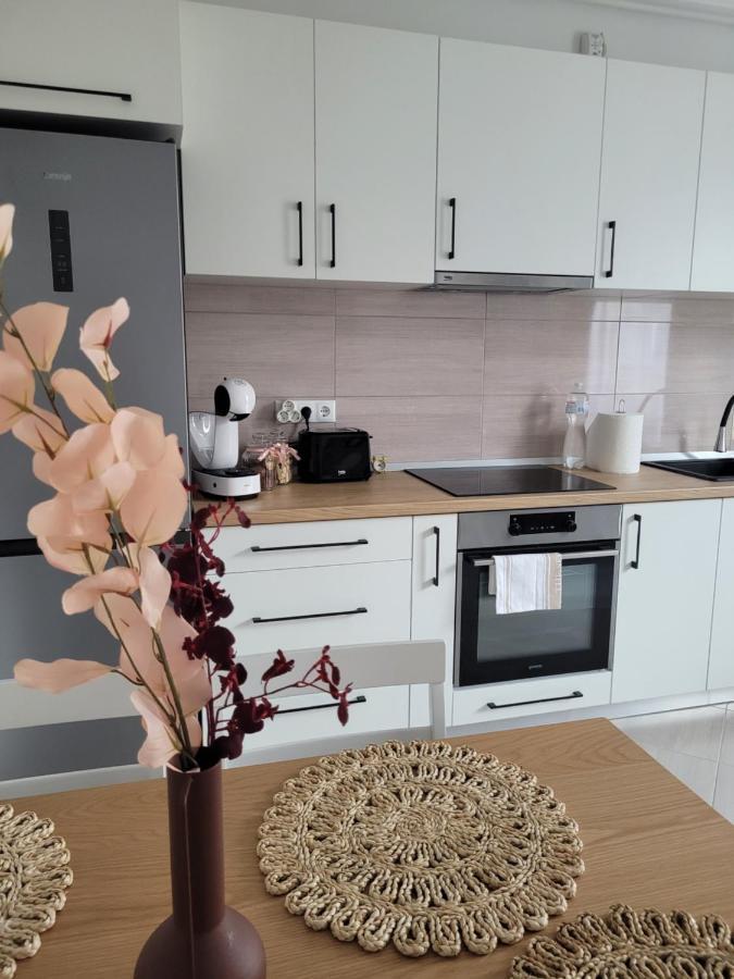 Ferienwohnung Amparo Satu Mare Exterior foto