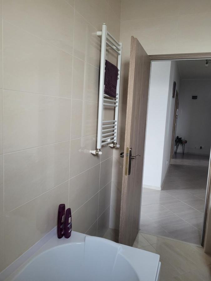 Ferienwohnung Amparo Satu Mare Exterior foto